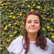 Docente de instrumento Violín-viola, Clases presenciales-virtuales